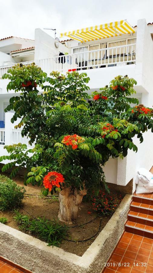 Club El Paradero Playa de las Américas Exterior foto